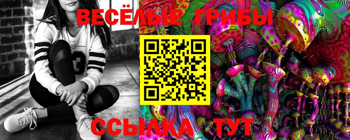 Псилоцибиновые грибы мухоморы Волхов