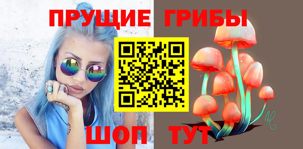 Галлюциногенные грибы прущие грибы  Вход с VPN  Волхов 
