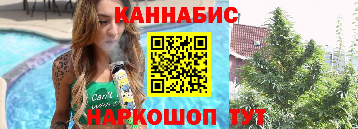 Конопля марихуана Волхов